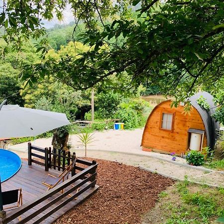 Gallas Pod House Vouzela Bagian luar foto