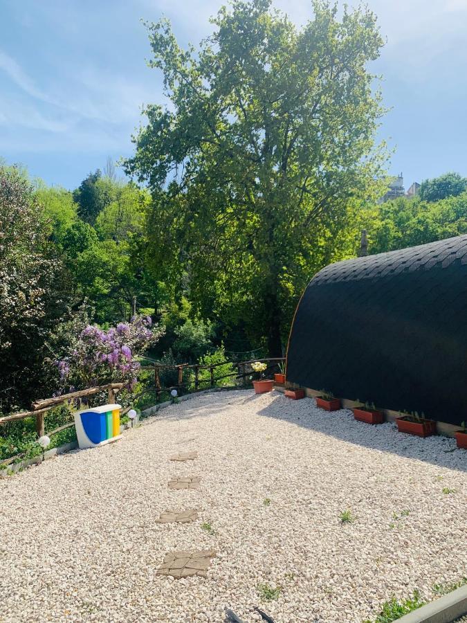 Gallas Pod House Vouzela Bagian luar foto