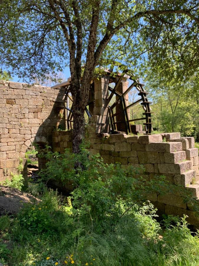 Gallas Pod House Vouzela Bagian luar foto